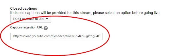 YT6