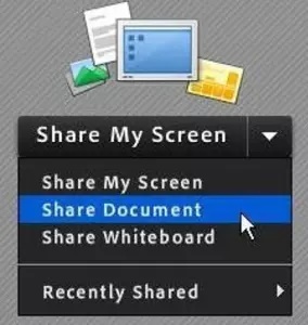 adobe connect 2